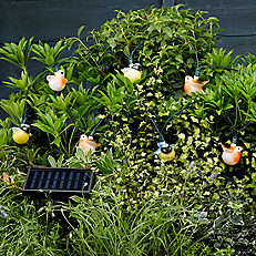 10 solar powered BIRD lights ( No wiring required ) install anywhere
