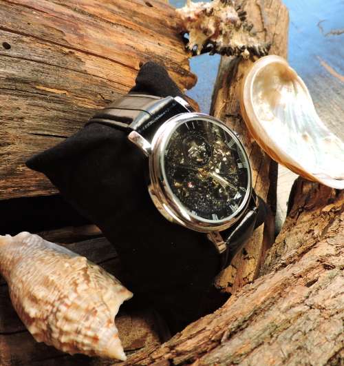 WINNER Automatic Mechanical Watch