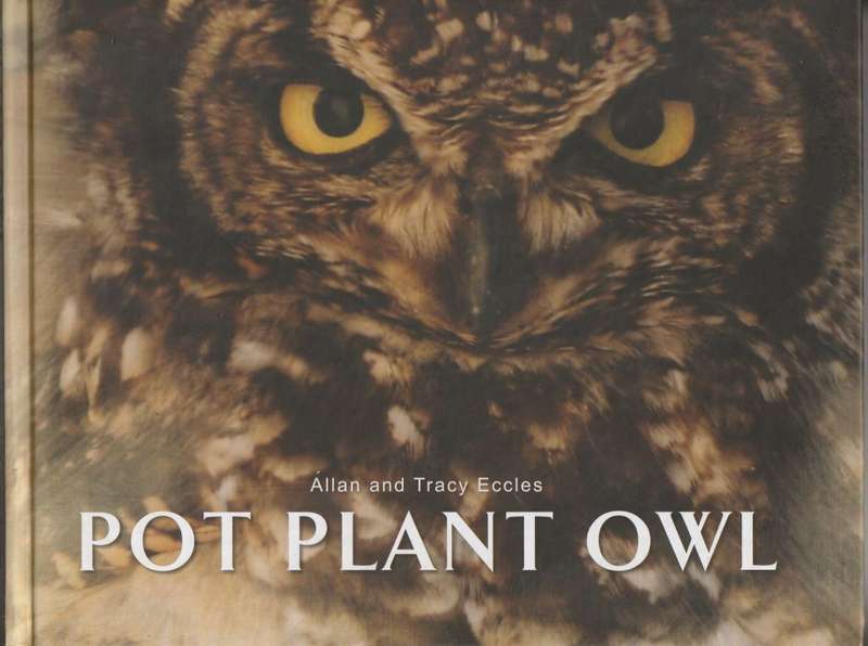 POT PLANT OWL by Allan and Tracy Eccles