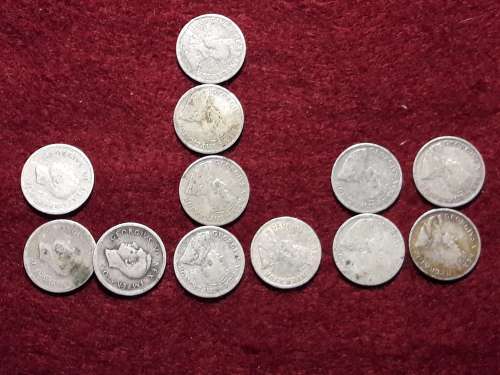 12 x 3d TICKEYS [16,1 g]