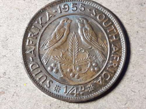 1955 SA UNION ¼ Penny - Elizabeth II [UNC]