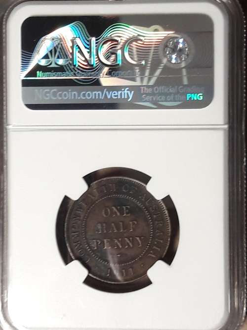 1911 AUSTRALIA ½ Penny NGC GRADED VF DETAILS