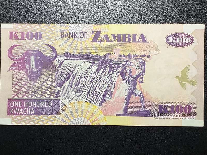 2006 ZAMBIA 100 KWACHA NOTE [To my opinion, uncirculated]