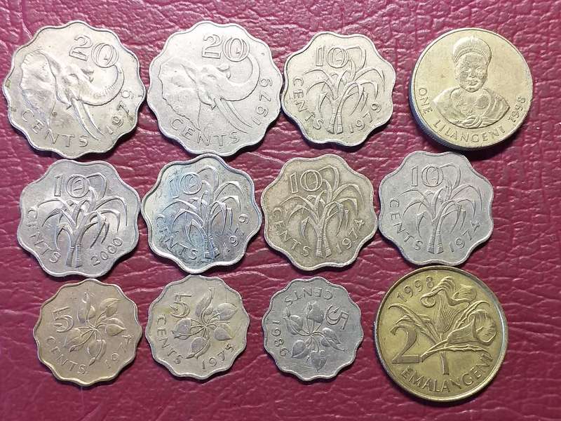 12 x COINS FROM SWAZILAND - [Bid per coin to take all]