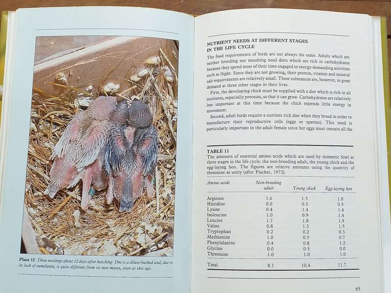 THE GOULDIAN FINCH BY STEWART EVANS & KIKE FIDLER - 144 PAGES