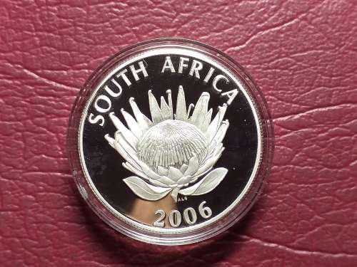 2006 RSA SILVER PROOF PROTEA R1 - TUTU