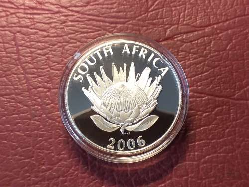 2006 RSA SILVER PROOF PROTEA R1 - TUTU