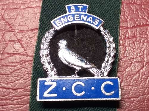 ST. ENGENAS Z.C.C - St Engenas Zion Christian Church - BADGE