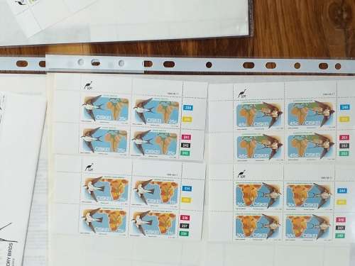CISKEI - FDC - CONTROLE BLOCKS - DATE STAMP CARDS - IN PLASTIC SLEEVES - MINT CONDITION