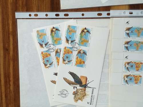 CISKEI - FDC - CONTROLE BLOCKS - DATE STAMP CARDS - IN PLASTIC SLEEVES - MINT CONDITION