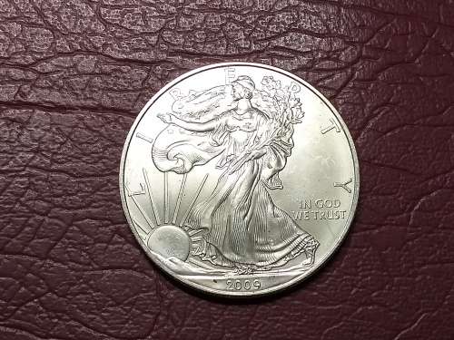 2009 USA FINE SILVER 1 Dollar `American Silver Eagle` Bullion Coin - MINT STATE - [31,1 g]
