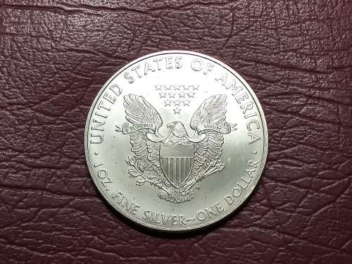 2009 USA FINE SILVER 1 Dollar `American Silver Eagle` Bullion Coin - MINT STATE - [31,1 g]