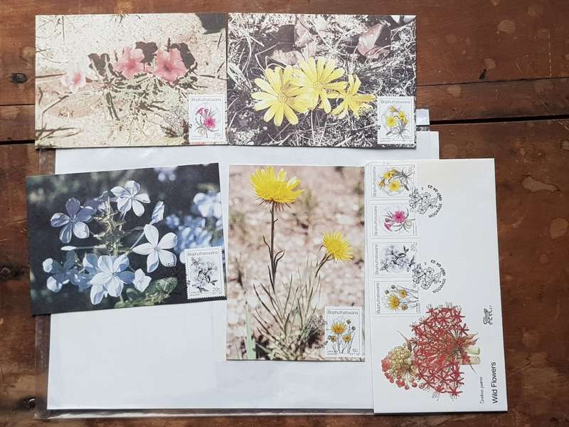 BOPHUTHATSWANA CONTRLE BLOCKS, FDC, MAXI CARDS - [ONE BID FOR ALL.]