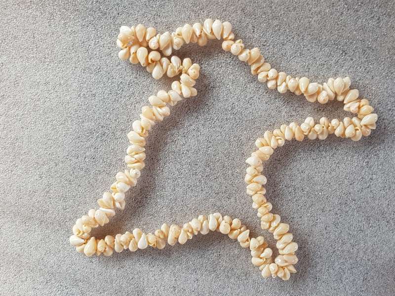 Lovely Genuine Shell Necklace in Very Good Condition