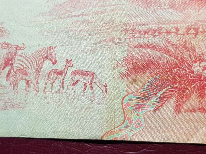 RSA R50 Note - Gerhard De Kock