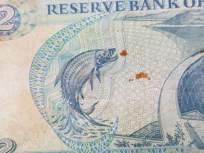 1994 Harare Zimbabwe 2 Dollar Note - Leonard Ladislas Tsumba Governor