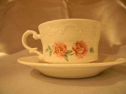 STUNNING CONSTANTIA LA ROCHELLE FINE CHINA RSA CANTATA TEACUP AND SAUCER DUO!!!!