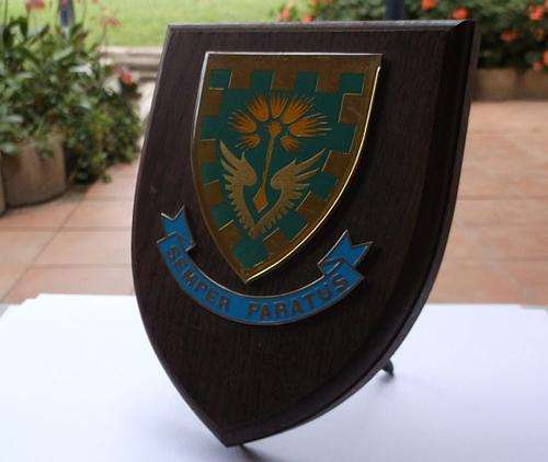 EXCELLENT VINTAGE AIRFORCE OR ARMY SEMPER PARATUS ( ALWAYS READY ) PLAQUE ...WOW !!