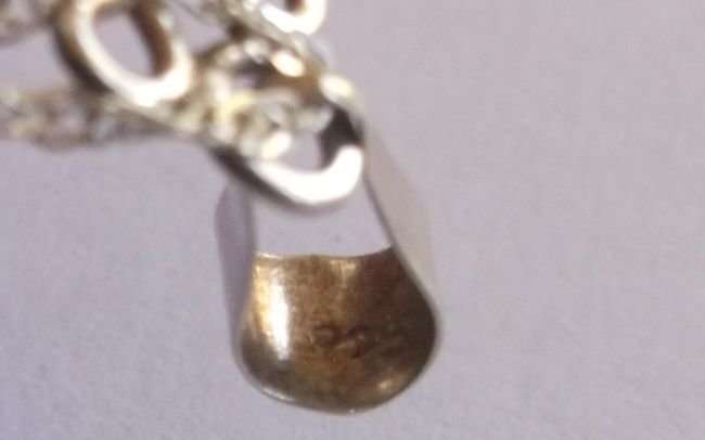 A STERLING SILVER NECKLACE WITH HEART PENDANT...DRY FLOWERS IN A PERSPEX HEART...SILVER FRAME