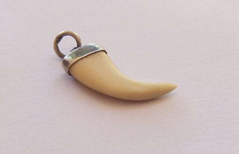 A TINY ANIMAL CLAW ( NAIL ) PENDANT SET IN STERLING SILVER ... UNUSUALLY SMALL AND SHARP TIP ...CUTE