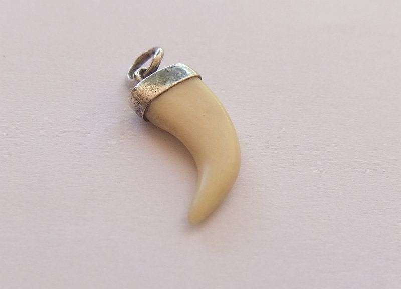 A TINY ANIMAL CLAW ( NAIL ) PENDANT SET IN STERLING SILVER ... UNUSUALLY SMALL AND SHARP TIP ...CUTE