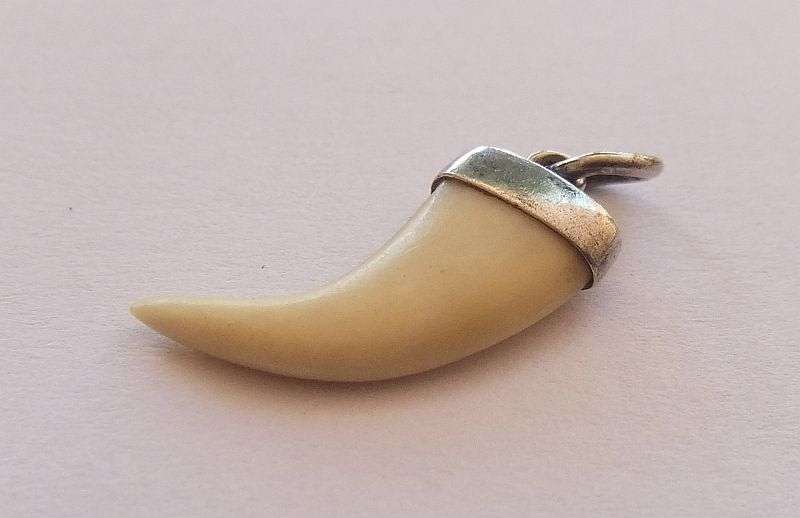 A TINY ANIMAL CLAW ( NAIL ) PENDANT SET IN STERLING SILVER ... UNUSUALLY SMALL AND SHARP TIP ...CUTE