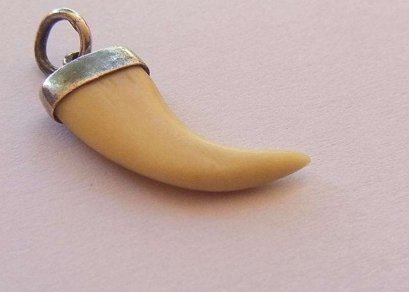 A TINY ANIMAL CLAW ( NAIL ) PENDANT SET IN STERLING SILVER ... UNUSUALLY SMALL AND SHARP TIP ...CUTE