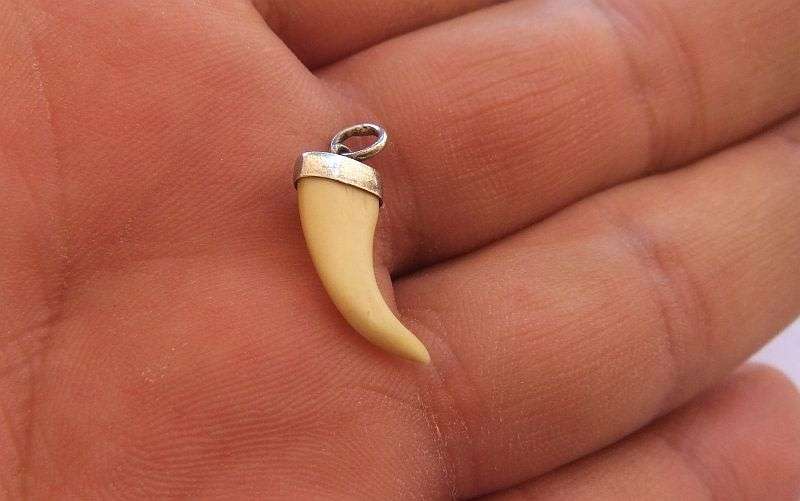 A TINY ANIMAL CLAW ( NAIL ) PENDANT SET IN STERLING SILVER ... UNUSUALLY SMALL AND SHARP TIP ...CUTE