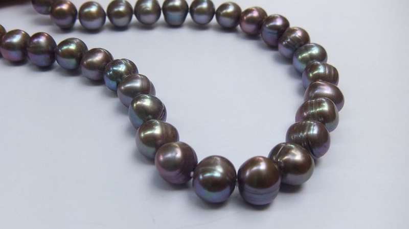 WOW !! A GORGEOUS STRING OF LARGE GENUINE FRESHWATER PEARLS WITH A 9CT GOLD CLASP !! HIGH VALUE !!
