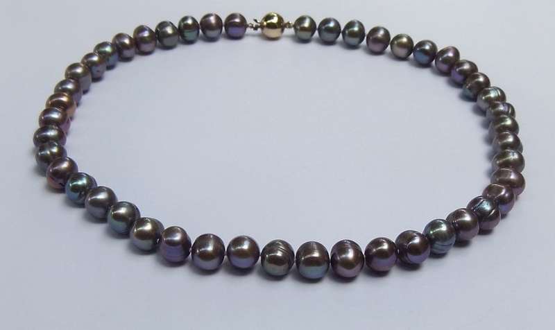 WOW !! A GORGEOUS STRING OF LARGE GENUINE FRESHWATER PEARLS WITH A 9CT GOLD CLASP !! HIGH VALUE !!
