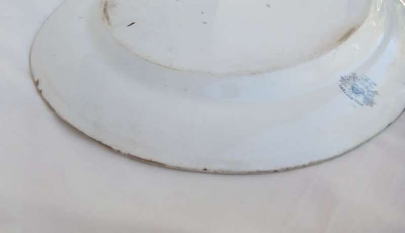 An antique 1870 Rhine pattern meat platter by B&L Hill Pottery