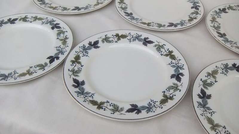 A set of 6 vintage Royal Doulton plates in the Burgundy pattern ( 1959 - 1981 )