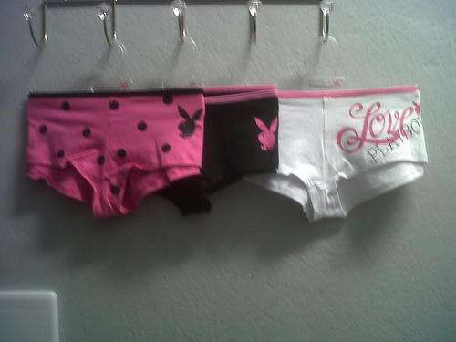 Playboy boylegs (Pack of 3)