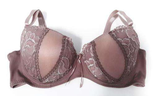 LATE ENTRY!!!! BEAUTIFUL BRA - SIZE 36B