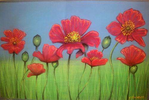 Poppy field - Pastel by SA artist, Cherie Roe Dirksen - 500mm x 325mm