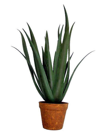 Artificial Aloe plants 80cm