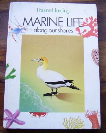 MARINE LIFE ALONG OUR SHORES BY PAULINE HARDING