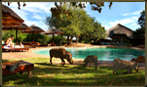 Mabalingwe Nature Reserve - School Holidays