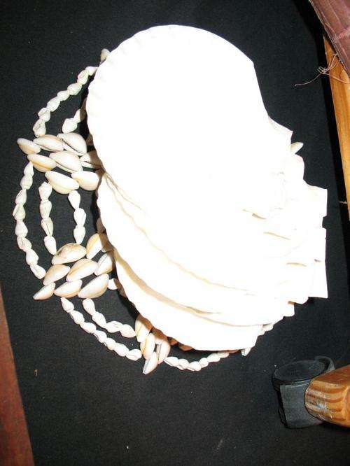 shell plates