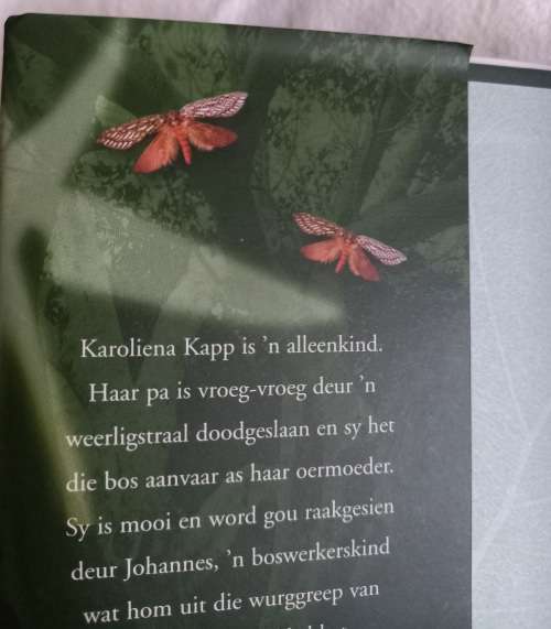 Toorbos Dalene Matthee 1ste Druk