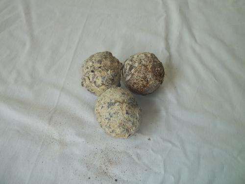 3 Dinosaur eggs