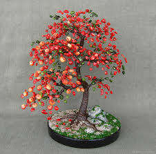Coral Tree Bonsai