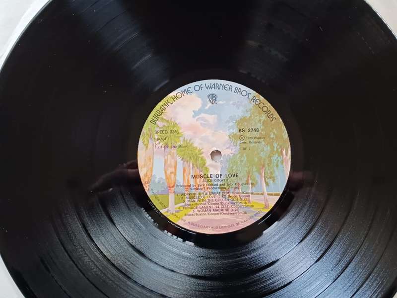 Alice Cooper - Muscle of Love  ( Rare 1973 SA released LP in a cardboard box type sleeve.)