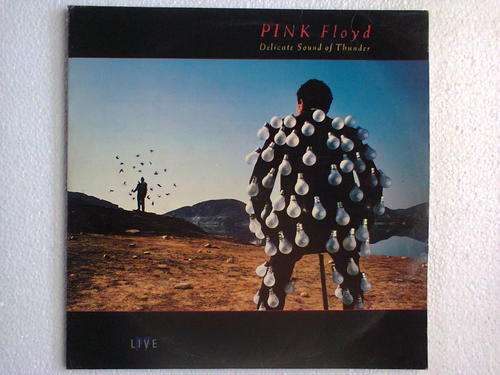 Pink floyd - Delicate sound of thunder ( double gatefold LP)