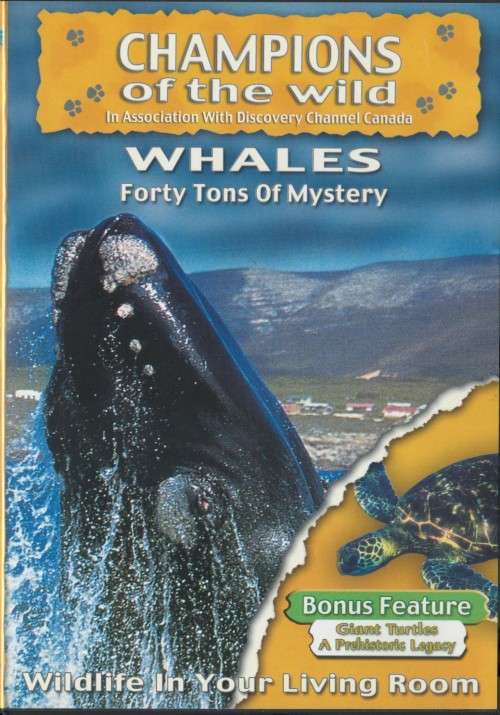 Champions of the Wild - Whales - DVD
