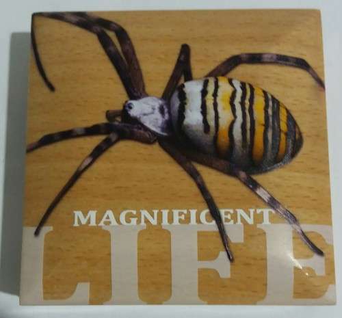 2016 MAGNIFICENT LIFE SPIDER 1OZ SILVER COIN (MINTAGE 999)