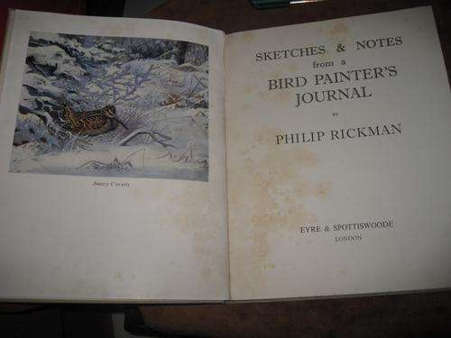 "SKETCHES AND NOTES FROM A BIRD PAINTERS JOURNAL" BY PHILIP RICKMAN