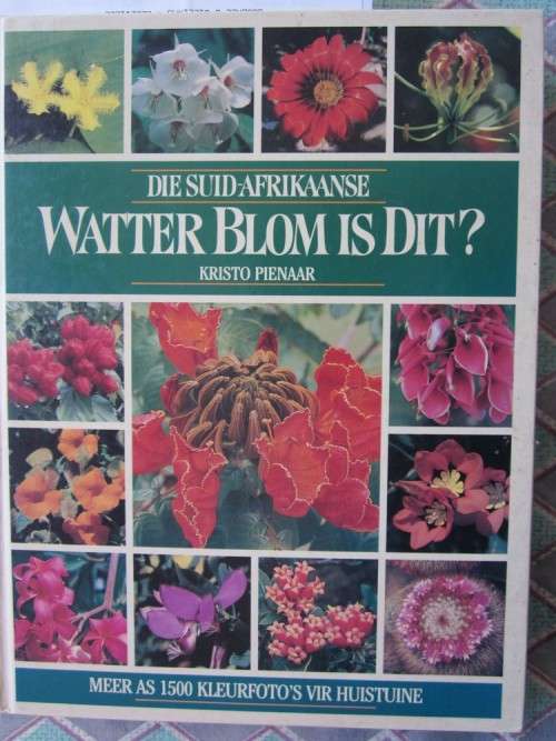Die Suid-Arikaanse Watter Blom is Dit? Kristo Pienaar