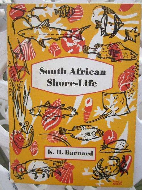 South-African Shore-Life -KH Barnard
