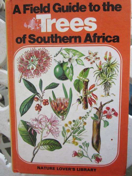 a Field Guide to the Trees of Southern Africa- Eve Palmer